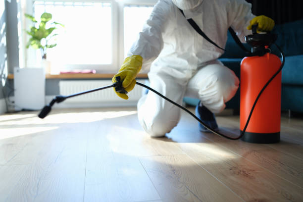 Trusted Odor Removal service in Wallace, NC - Four Month Blood Cleanse